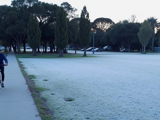 Curitiba Enfrenta Semana de Frio Intenso com Temperaturas Abaixo de 3°C